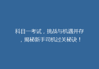 科目一考试，挑战与机遇并存，揭秘新手司机过关秘诀！