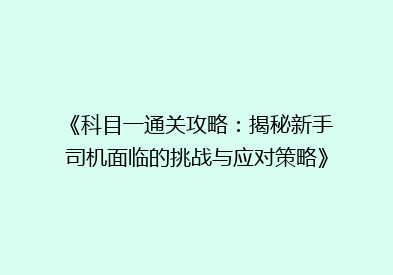 《科目一通关攻略：揭秘新手司机面临的挑战与应对策略》