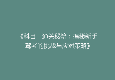 《科目一通关秘籍：揭秘新手驾考的挑战与应对策略》