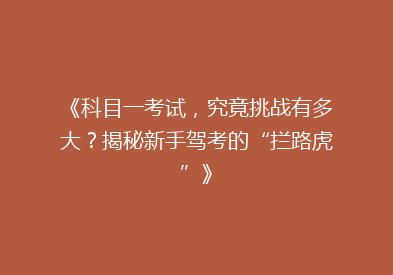 《科目一考试，究竟挑战有多大？揭秘新手驾考的“拦路虎”》