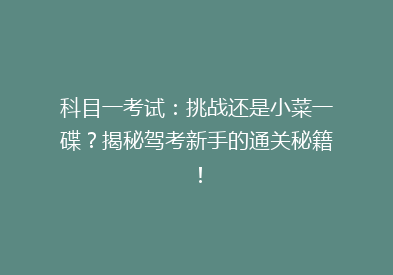 科目一考试：挑战还是小菜一碟？揭秘驾考新手的通关秘籍！