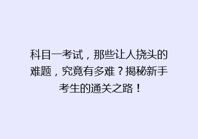 科目一考试，那些让人挠头的难题，究竟有多难？揭秘新手考生的通关之路！