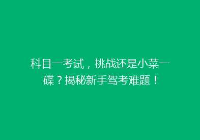 科目一考试，挑战还是小菜一碟？揭秘新手驾考难题！