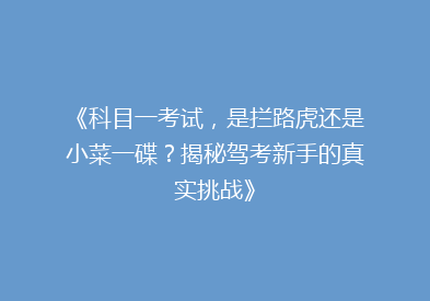 《科目一考试，是拦路虎还是小菜一碟？揭秘驾考新手的真实挑战》