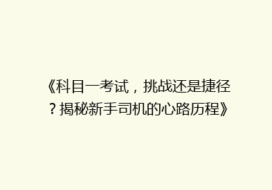 《科目一考试，挑战还是捷径？揭秘新手司机的心路历程》