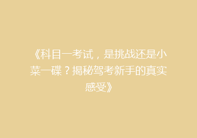 《科目一考试，是挑战还是小菜一碟？揭秘驾考新手的真实感受》