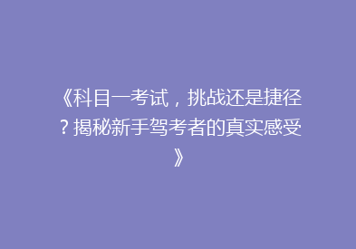 《科目一考试，挑战还是捷径？揭秘新手驾考者的真实感受》