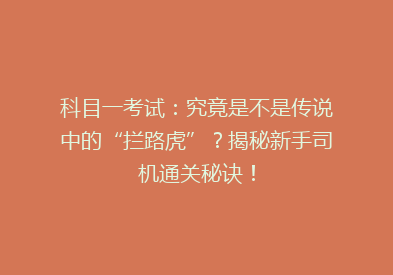 科目一考试：究竟是不是传说中的“拦路虎”？揭秘新手司机通关秘诀！