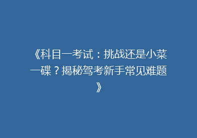 《科目一考试：挑战还是小菜一碟？揭秘驾考新手常见难题》
