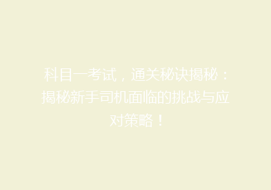 科目一考试，通关秘诀揭秘：揭秘新手司机面临的挑战与应对策略！