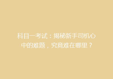 科目一考试：揭秘新手司机心中的难题，究竟难在哪里？