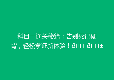 科目一通关秘籍：告别死记硬背，轻松拿证新体验！🎯📱