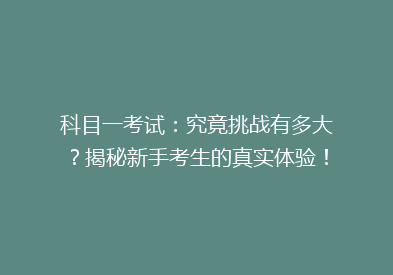 科目一考试：究竟挑战有多大？揭秘新手考生的真实体验！