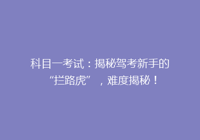 科目一考试：揭秘驾考新手的“拦路虎”，难度揭秘！