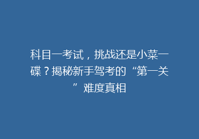 科目一考试，挑战还是小菜一碟？揭秘新手驾考的“第一关”难度真相