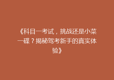 《科目一考试，挑战还是小菜一碟？揭秘驾考新手的真实体验》