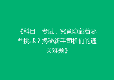 《科目一考试，究竟隐藏着哪些挑战？揭秘新手司机们的通关难题》