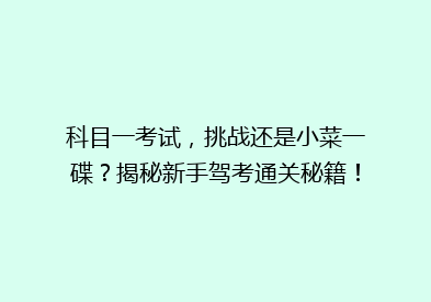 科目一考试，挑战还是小菜一碟？揭秘新手驾考通关秘籍！