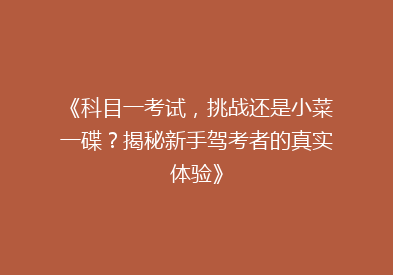 《科目一考试，挑战还是小菜一碟？揭秘新手驾考者的真实体验》