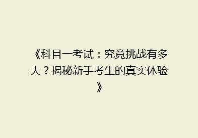《科目一考试：究竟挑战有多大？揭秘新手考生的真实体验》