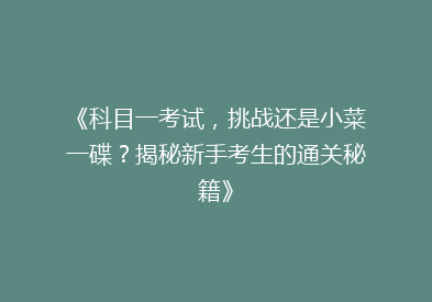 《科目一考试，挑战还是小菜一碟？揭秘新手考生的通关秘籍》