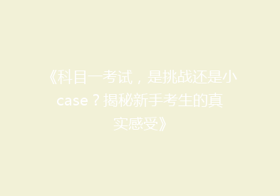 《科目一考试，是挑战还是小case？揭秘新手考生的真实感受》