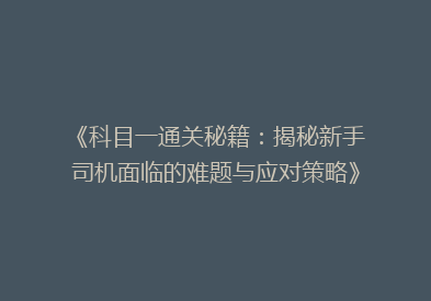 《科目一通关秘籍：揭秘新手司机面临的难题与应对策略》
