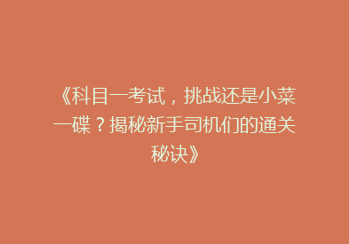 《科目一考试，挑战还是小菜一碟？揭秘新手司机们的通关秘诀》