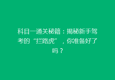 科目一通关秘籍：揭秘新手驾考的“拦路虎”，你准备好了吗？
