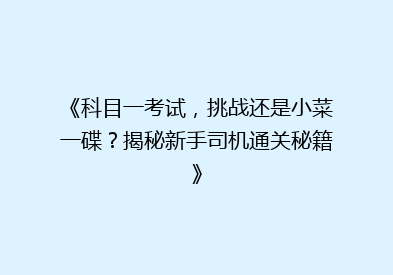 《科目一考试，挑战还是小菜一碟？揭秘新手司机通关秘籍》