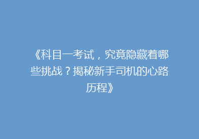 《科目一考试，究竟隐藏着哪些挑战？揭秘新手司机的心路历程》