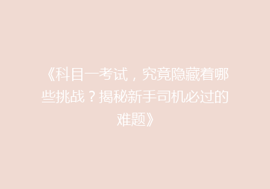《科目一考试，究竟隐藏着哪些挑战？揭秘新手司机必过的难题》