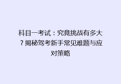 科目一考试：究竟挑战有多大？揭秘驾考新手常见难题与应对策略