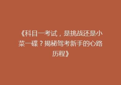 《科目一考试，是挑战还是小菜一碟？揭秘驾考新手的心路历程》