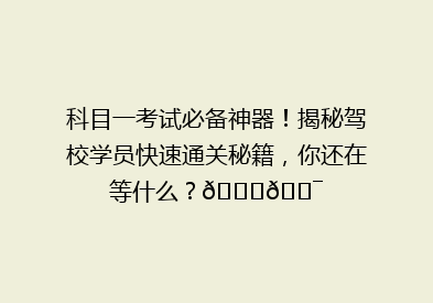 科目一考试必备神器！揭秘驾校学员快速通关秘籍，你还在等什么？🚗🎯