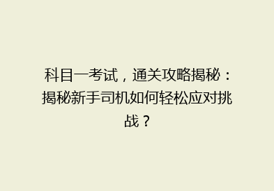 科目一考试，通关攻略揭秘：揭秘新手司机如何轻松应对挑战？