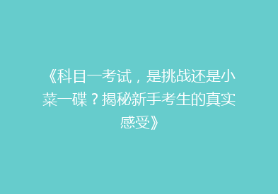 《科目一考试，是挑战还是小菜一碟？揭秘新手考生的真实感受》