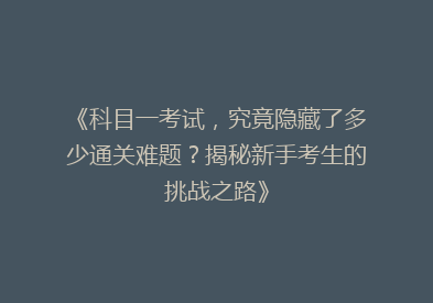 《科目一考试，究竟隐藏了多少通关难题？揭秘新手考生的挑战之路》