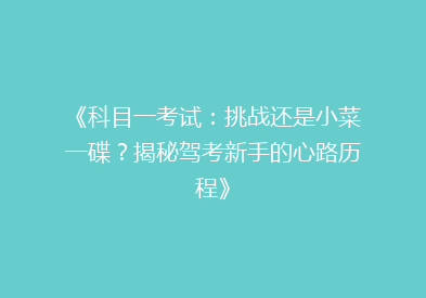 《科目一考试：挑战还是小菜一碟？揭秘驾考新手的心路历程》