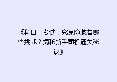 《科目一考试，究竟隐藏着哪些挑战？揭秘新手司机通关秘诀》