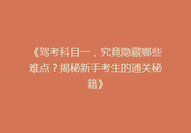 《驾考科目一，究竟隐藏哪些难点？揭秘新手考生的通关秘籍》