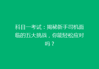 科目一考试：揭秘新手司机面临的五大挑战，你能轻松应对吗？
