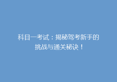 科目一考试：揭秘驾考新手的挑战与通关秘诀！