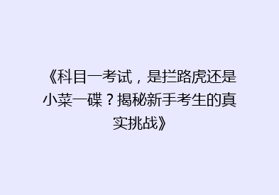 《科目一考试，是拦路虎还是小菜一碟？揭秘新手考生的真实挑战》