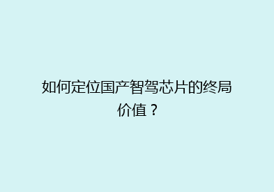如何定位国产智驾芯片的终局价值？