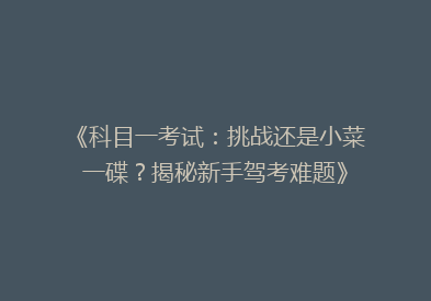 《科目一考试：挑战还是小菜一碟？揭秘新手驾考难题》