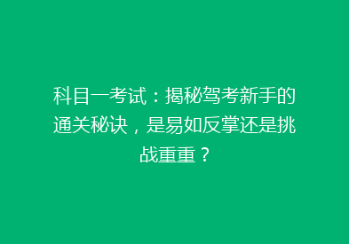 科目一考试：揭秘驾考新手的通关秘诀，是易如反掌还是挑战重重？