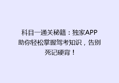 科目一通关秘籍：独家APP助你轻松掌握驾考知识，告别死记硬背！