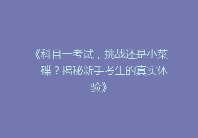 《科目一考试，挑战还是小菜一碟？揭秘新手考生的真实体验》