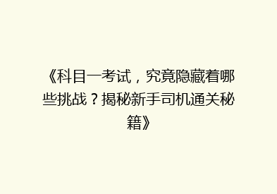 《科目一考试，究竟隐藏着哪些挑战？揭秘新手司机通关秘籍》